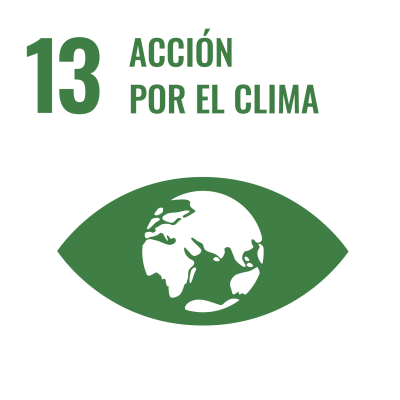 ods 13