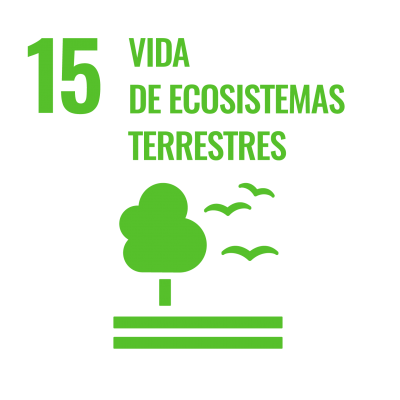 ods 15